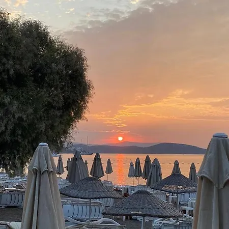 Grand Levent 호텔 Bodrum